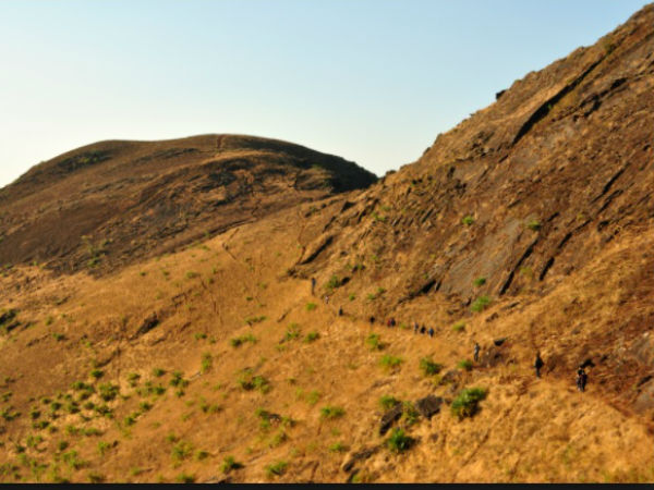ಜೆಡ್ ಪಾಯಿಂಟ್
