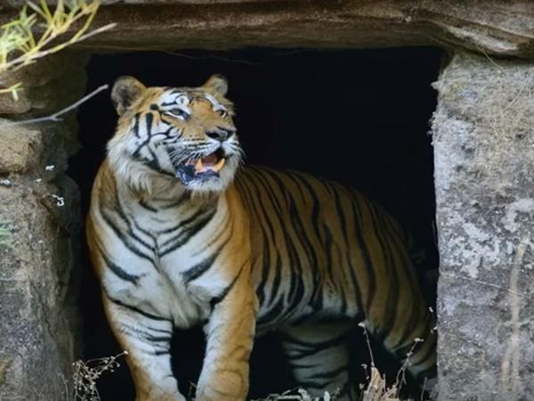 ದ್ವಾರ
