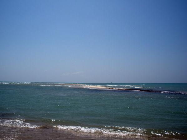 ಬೀಚ್