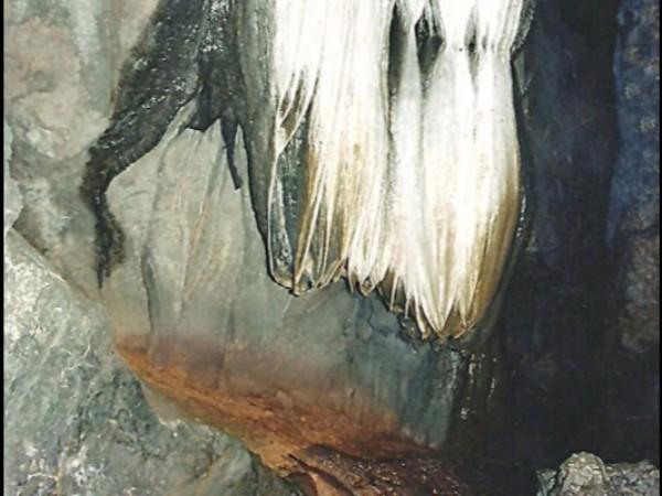 ನಿತ್ಯ ಪೂಜೆಗಳು