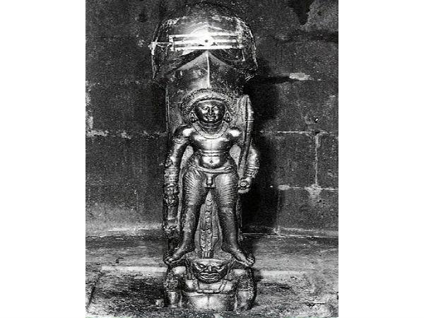 ವಿಶೇಷತೆ