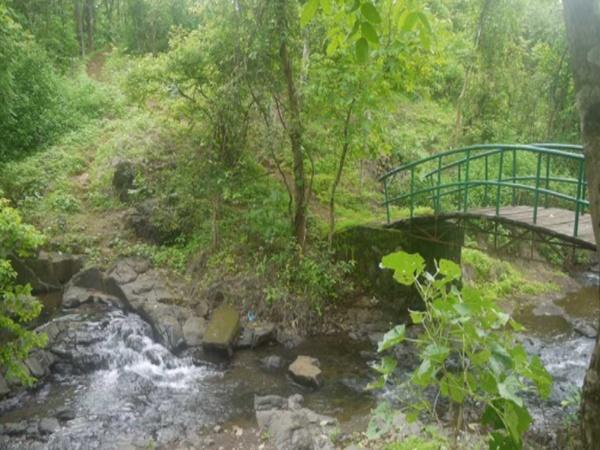 ಪ್ರಕಟಿಸುವುದು