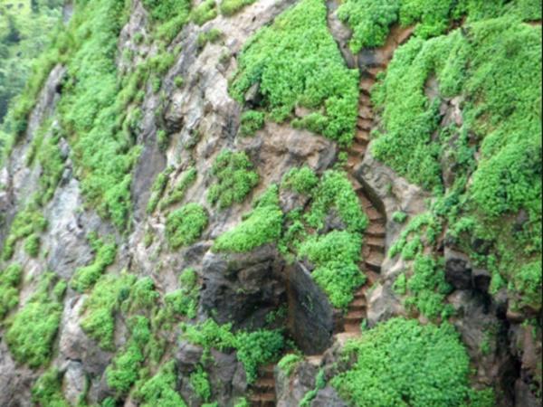 ಆ ಜೋಡಿ