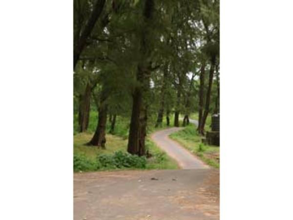 ಭೇತಾಳನ ದೇವಾಲಯ