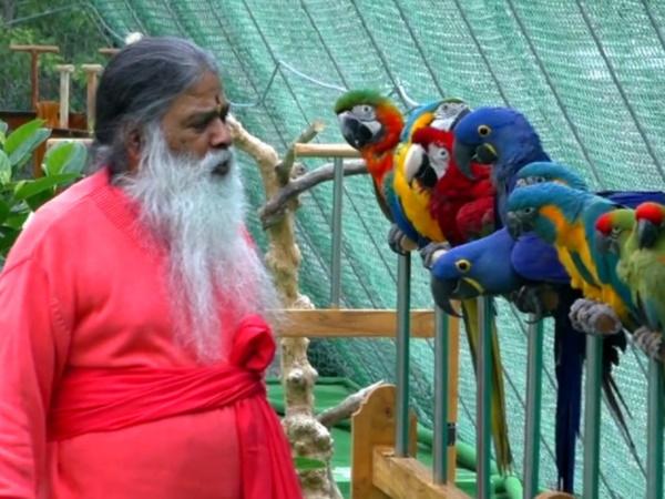 ಪ್ರವೇಶ ಶುಲ್ಕ