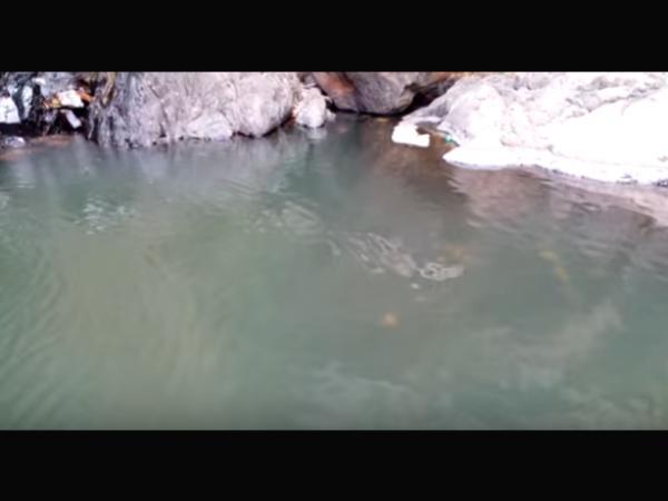 ಒಡಿಶಾ