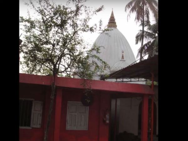 ಹೊಕ್ಕಳ ಭಾಗ