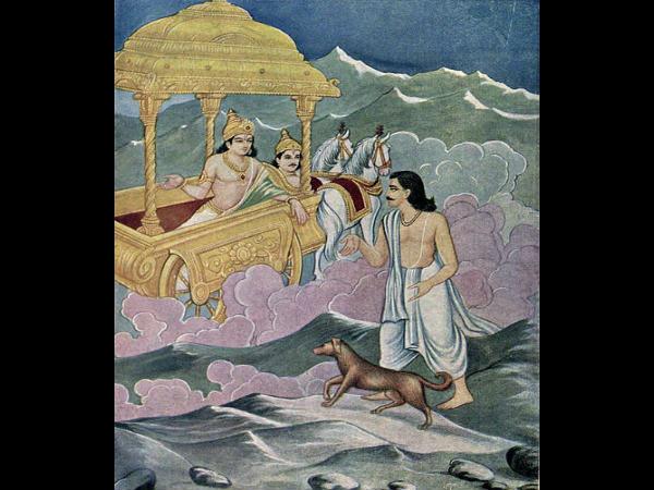 ನಾಯಿಯನ್ನು ಬಿಟ್ಟು ಬರುವುದಿಲ್ಲ