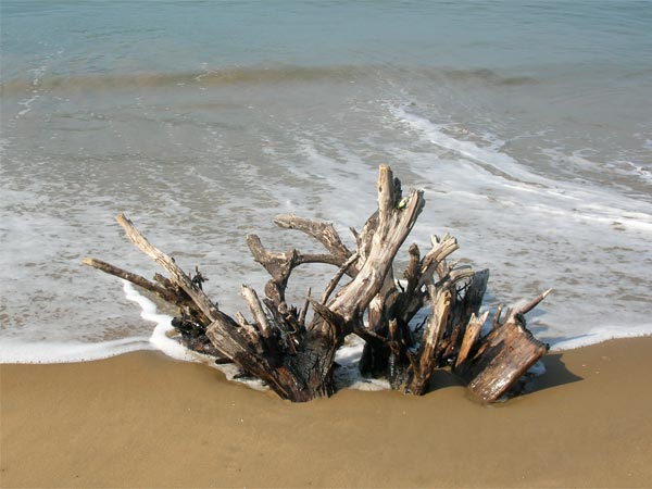 ದೇವ್ ಭಾಗ್ ಕಡಲಕಿನಾರೆ