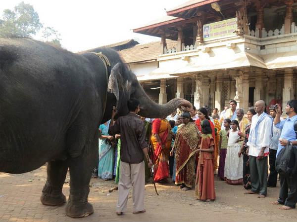 ಮೂಕಾಂಬಿಕೆ