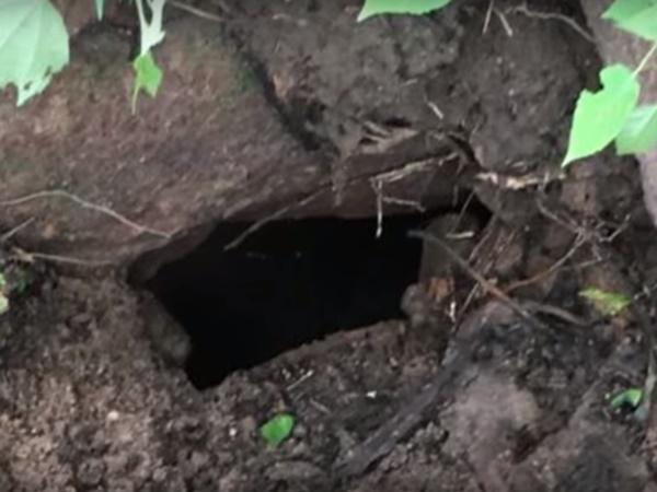 ಆ ಕೊಳದ ನೀರು ಏನಾಗುತ್ತದೆ?