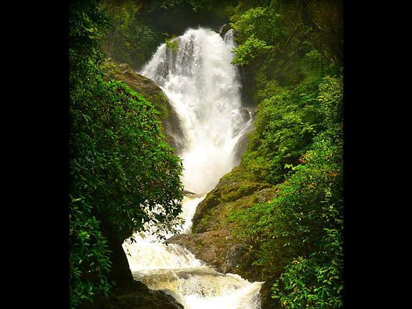 ವಿಭೂತಿ ಜಲಪಾತ
