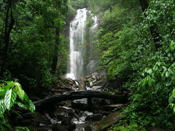 ಹಿಡ್ಲುಮನೆ ಜಲಪಾತ