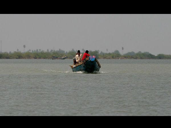 ಕೃಷ್ಣಾ ಅಭಯಾರಣ್ಯ