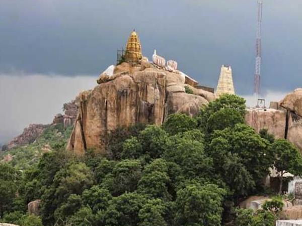 ಸ್ವಯಂ ಭೂ
