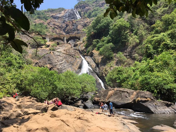 ಭಗವಾನ್ ಮಹಾವೀರ್ ಅಭಯಾರಣ್ಯ ಮತ್ತು ಮೊಲೆಮ್ ನ್ಯಾಷನಲ್ ಪಾರ್ಕ್