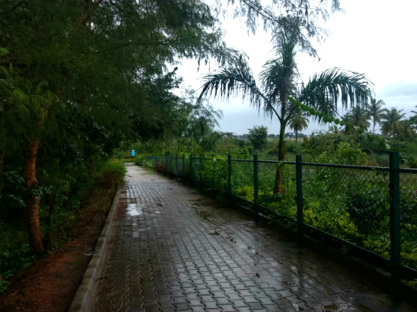 Bangalore lakes Bangalore lakes