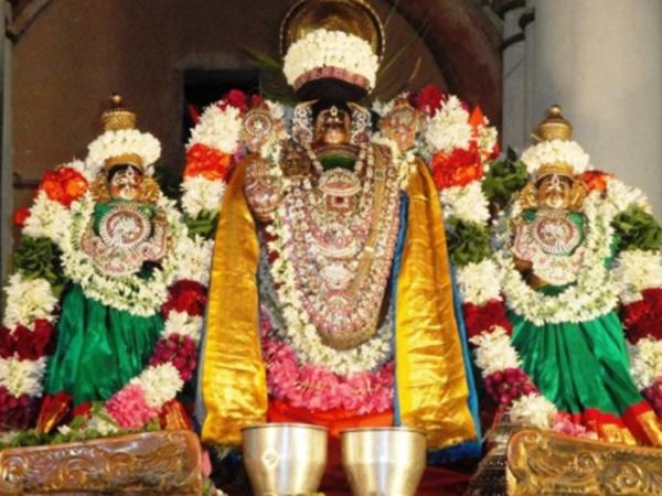 ಬಂಗಾರದ ಹಲ್ಲಿಯ ಹಿಂದಿರುವ ರಹಸ್ಯ