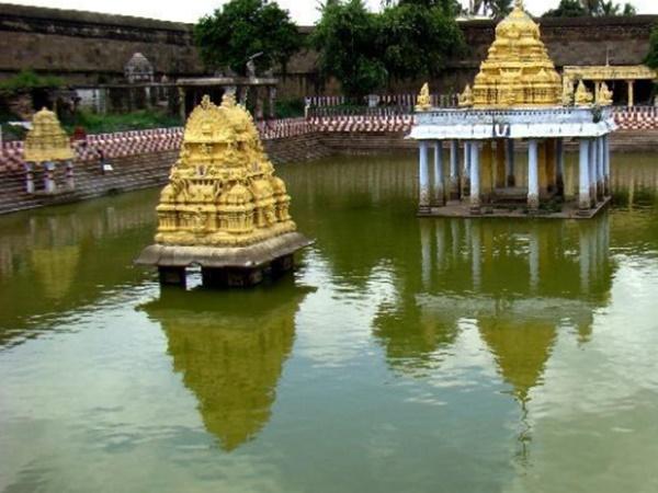 ಬಂಗಾರದ ಹಲ್ಲಿಯ ಹಿಂದಿರುವ ರಹಸ್ಯ