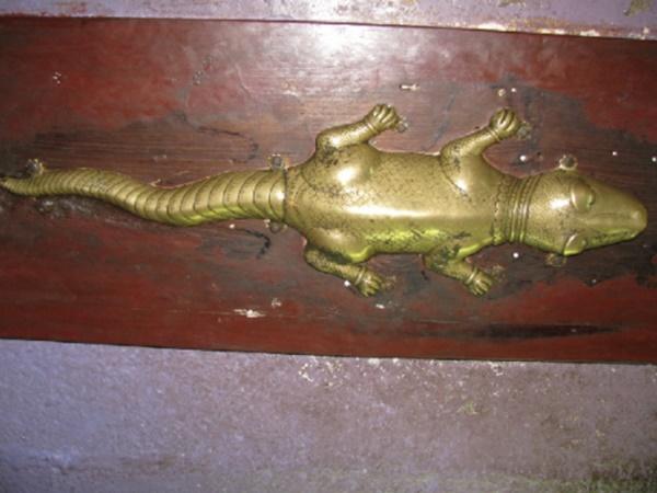 ಬಂಗಾರದ ಹಲ್ಲಿಯ ಹಿಂದಿರುವ ರಹಸ್ಯ