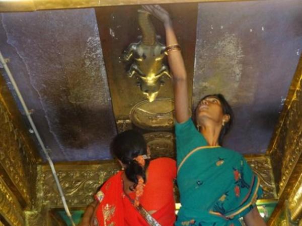 ಬಂಗಾರದ ಹಲ್ಲಿಯ ಹಿಂದಿರುವ ರಹಸ್ಯ