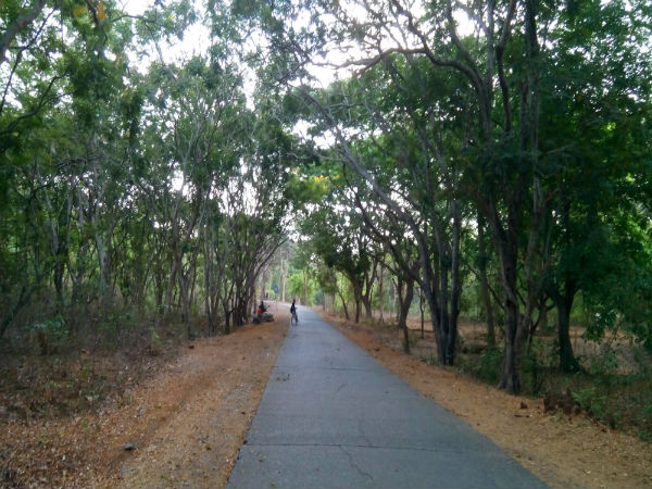 ಸಂಜಯ್ ಗಾಂಧಿ ರಾಷ್ಟ್ರೀಯ ಉದ್ಯಾನವನ
