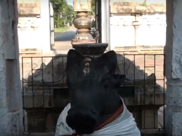 ದೃಢ ಸಂಕಲ್ಪ