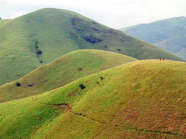 ತಡಿಯಾನ್ಮೊಲ್