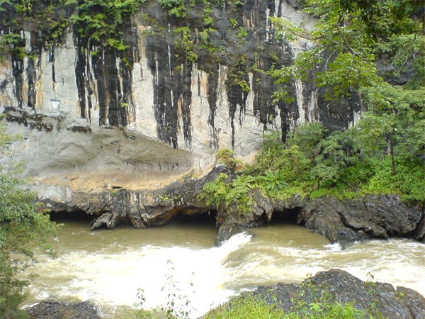 Dandeli Dandeli