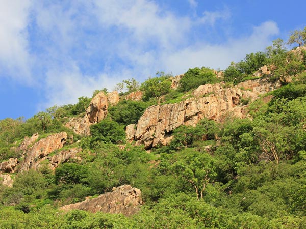 8. ಶಿವಗ೦ಗೆ