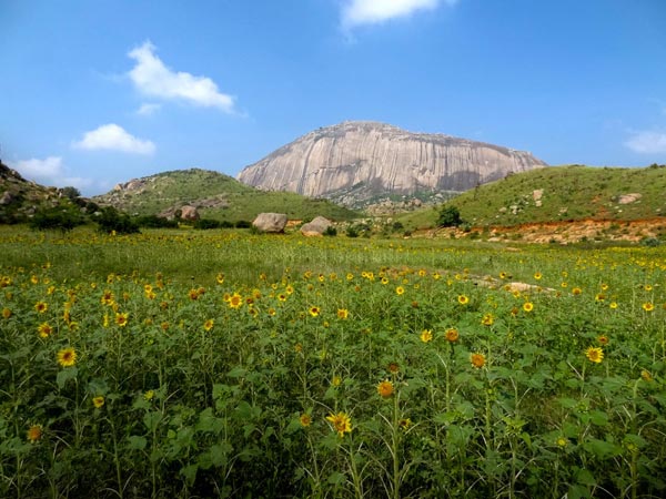 9. ಮಧುಗಿರಿ