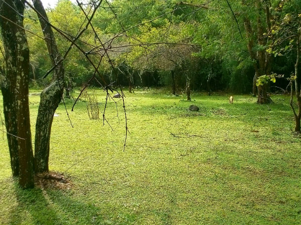 30. ಮಸಿನಗುಡಿ