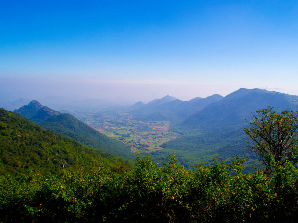36. ಯೆರ್ಕೌಡ್