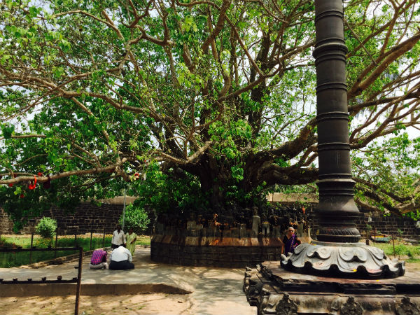 43. ಟಿ. ನರಸೀಪುರ