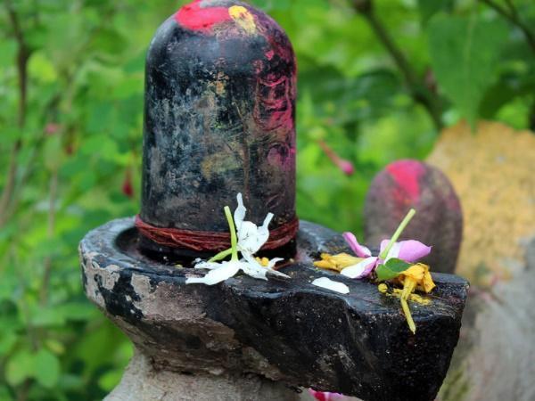 ವಿಭಿನ್ನವಾದ ಲಕ್ಷಣಗಳನ್ನು ಹೊಂದಿರುವ ಶಿವಲಿಂಗ