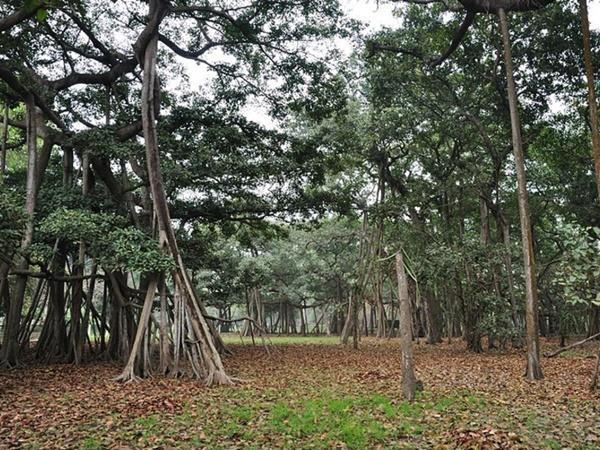 ಕೆಲವು ವರ್ಷಗಳ ಹಿಂದೆ