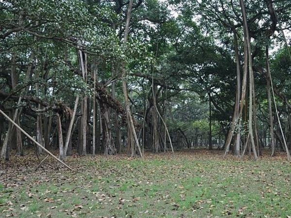 ನಾವು ಚಿತ್ರದ ಮೂಲಕ ತಿಳಿದುಕೊಳ್ಳೋಣ