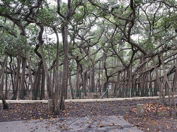 ನಾವು ಚಿತ್ರದ ಮೂಲಕ ತಿಳಿದುಕೊಳ್ಳೋಣ