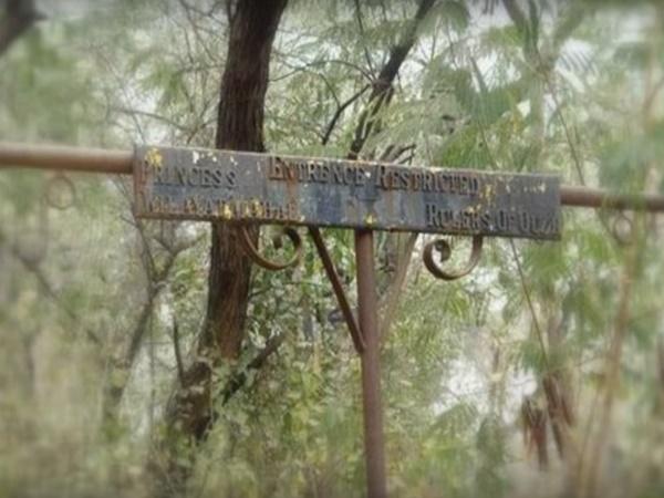 ಭಯಾನಕ ಮಹಲ್
