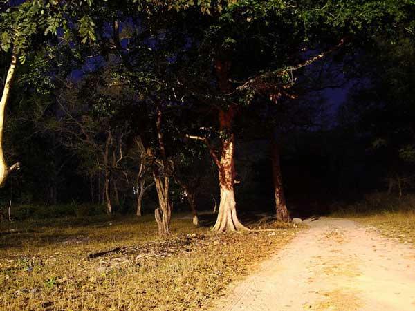 ಟೂ ಲೈನ್ ಈಸ್ಟ್ ಕೋಸ್ಟ್ ರಹದಾರಿ