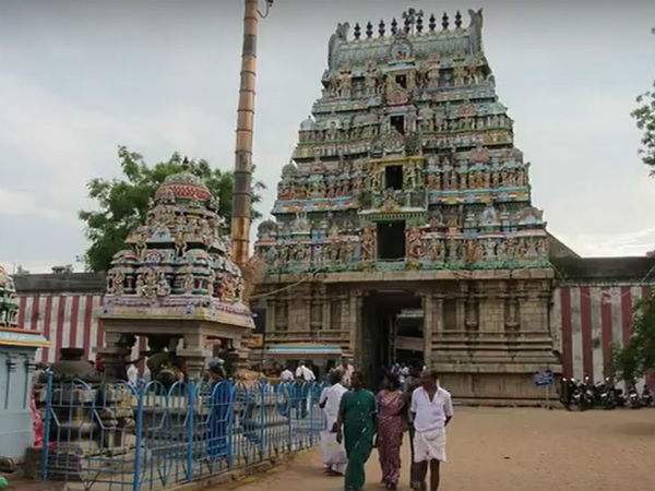 ಮಾನವ ರೂಪವಾಗಿ ದರ್ಶನ ಭಾಗ್ಯ