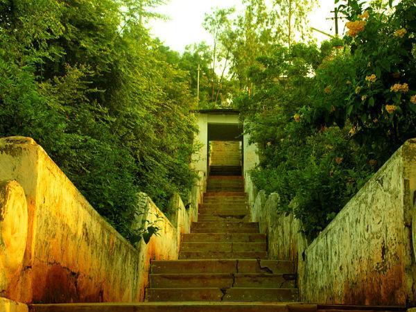 ಸೂರ್ಯ ನಾರಾಯಣ ಮೂರ್ತಿ ದೇವಾಲಯ