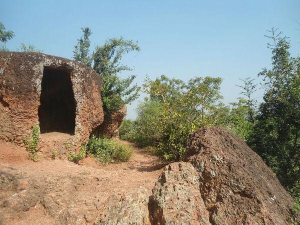 ಜೀವ ವೈವಿದ್ಯತೆ
