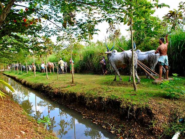 ಶಿಗ್ಗಾಂವಿನ ಉತ್ಸವ್ ರಾಕ್ ಗಾರ್ಡನ್
