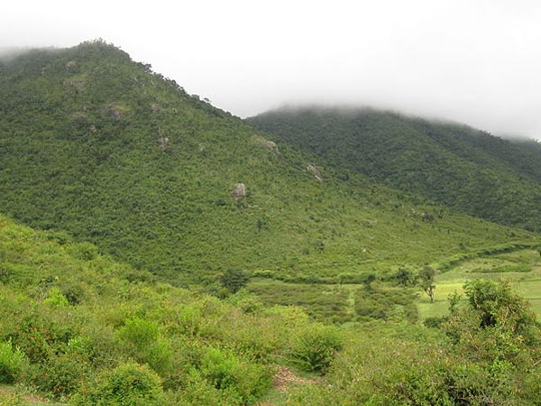 ಹಿಮವದ್ ಗೋಪಾಲಸ್ವಾಮಿ ಬೆಟ್ಟ
