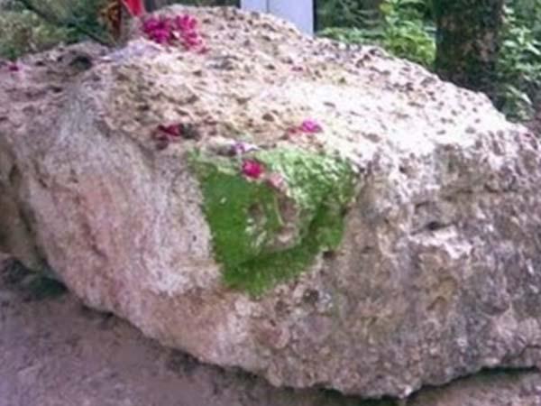 ಮಕ್ಕಳ ಭಾಗ್ಯ