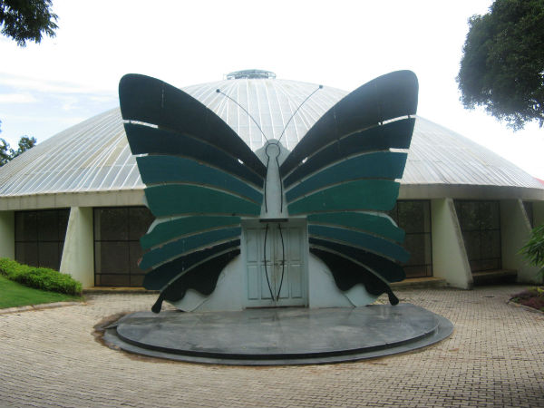 ಚಿಟ್ಟೆಗಳ ಉದ್ಯಾನವನ
