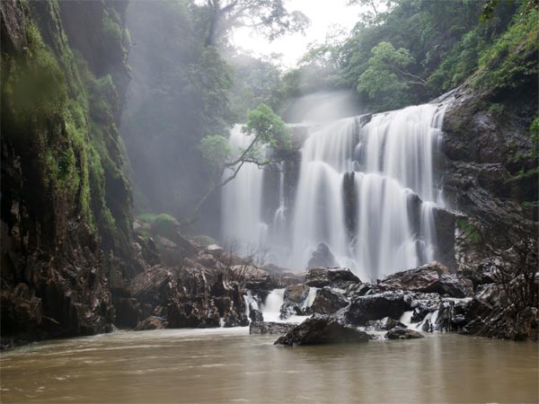 Dandeli Dandeli