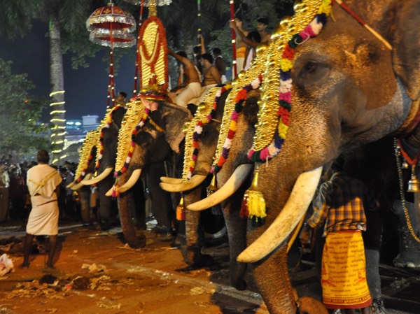 Grand Festivals Celebrated In South India Grand Festivals Celebrated In South India