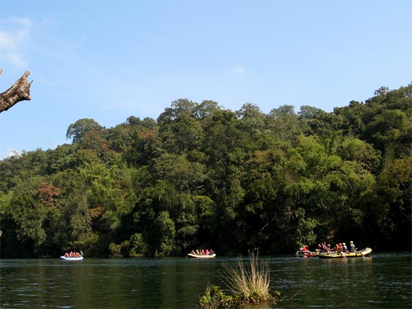 Dandeli Dandeli